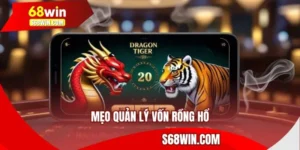 Mẹo Quản Lý Vốn Rồng Hổ